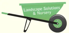 Top-rated yard maintenance with custom design across Castroville, TX - Landscape Solutions & Nursery