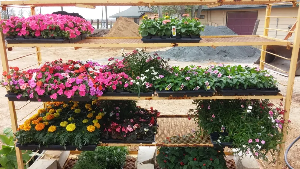 Local landscaping services experts serving Castroville, TX - Landscape Solutions & Nursery
