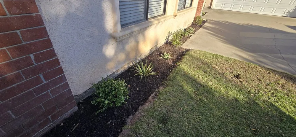 Professional outdoor landscaping in Orcutt, CA by Landscape Solutions 360