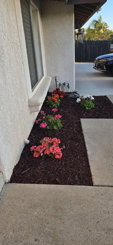Local landscape design for beautiful yards in Orcutt, CA by Landscape Solutions 360