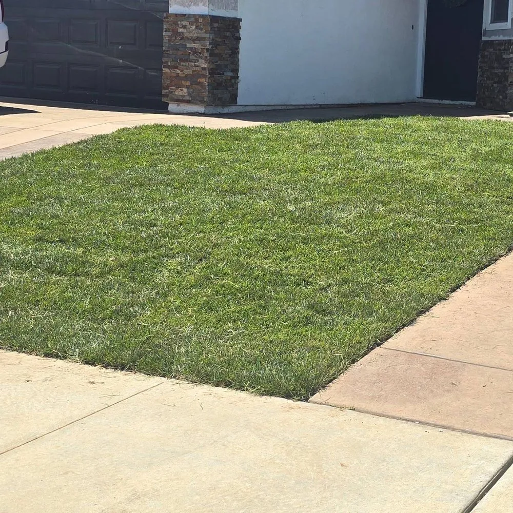 Professional landscaping services near you in Orcutt, CA by Landscape Solutions 360