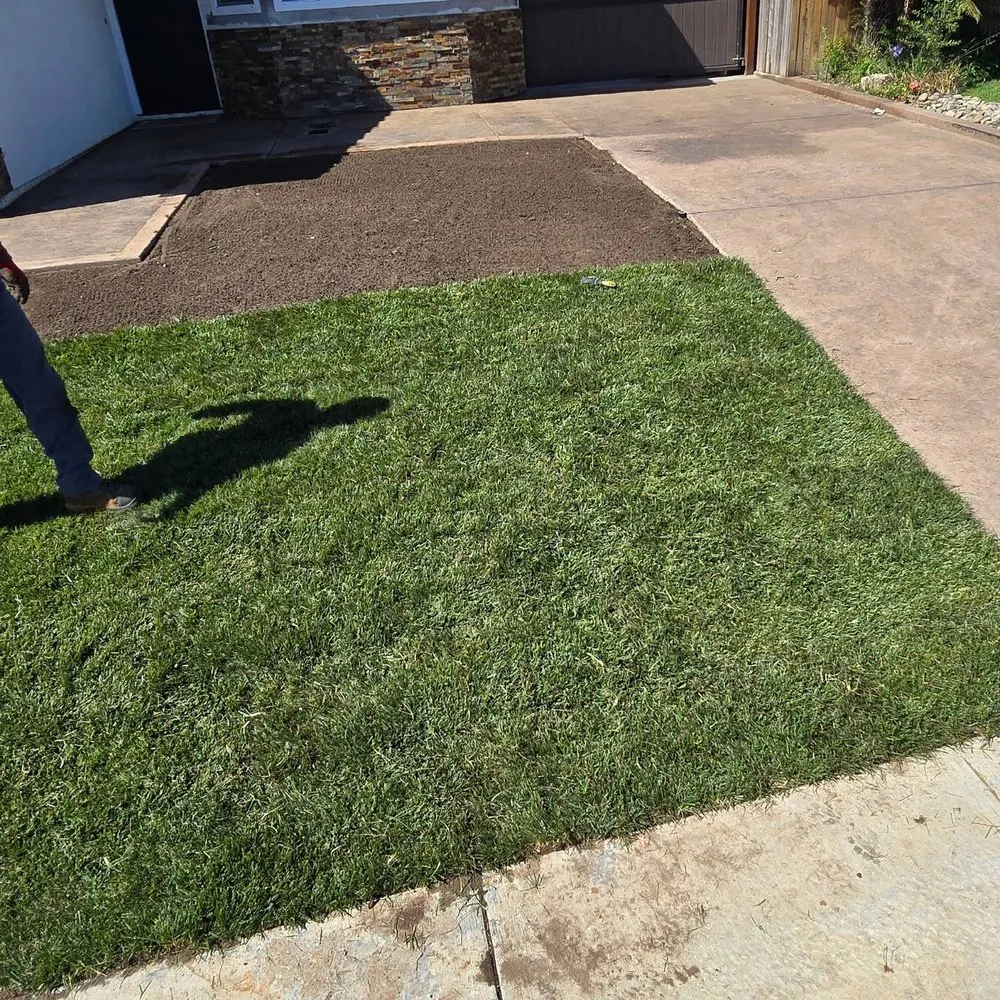 Professional residential landscaping with custom design across Orcutt, CA - Landscape Solutions 360