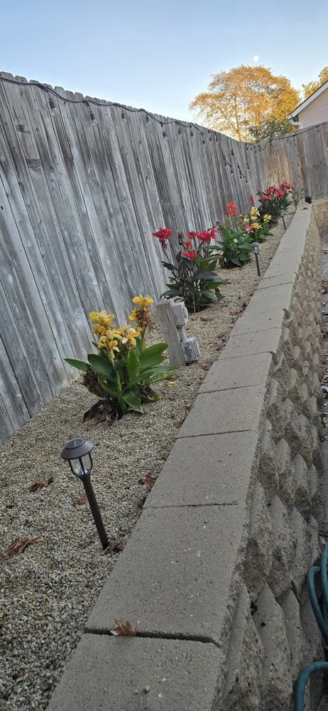 Trusted lawn care service for residential properties across Orcutt, CA - Landscape Solutions 360