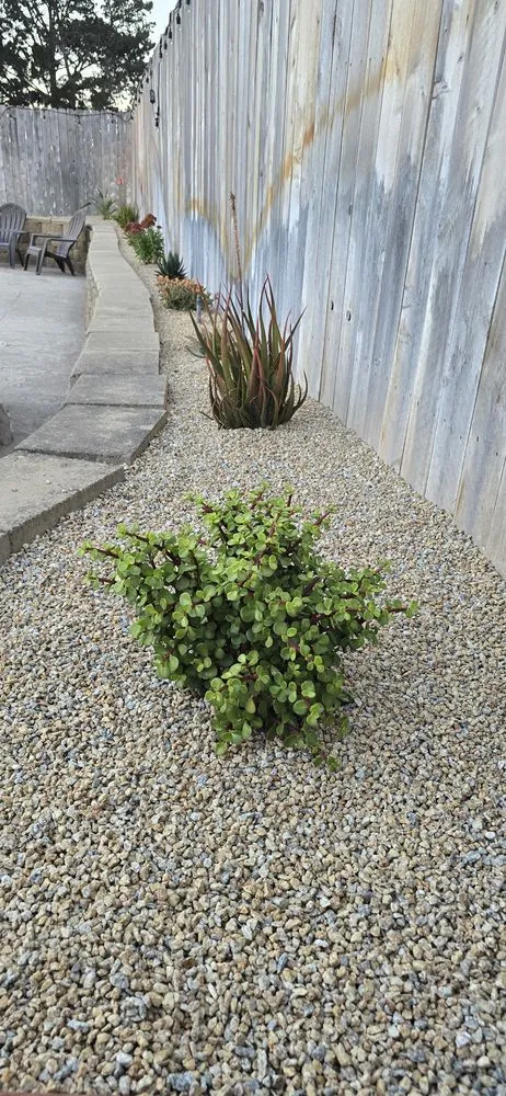 Trusted yard maintenance with custom design across Orcutt, CA - Landscape Solutions 360