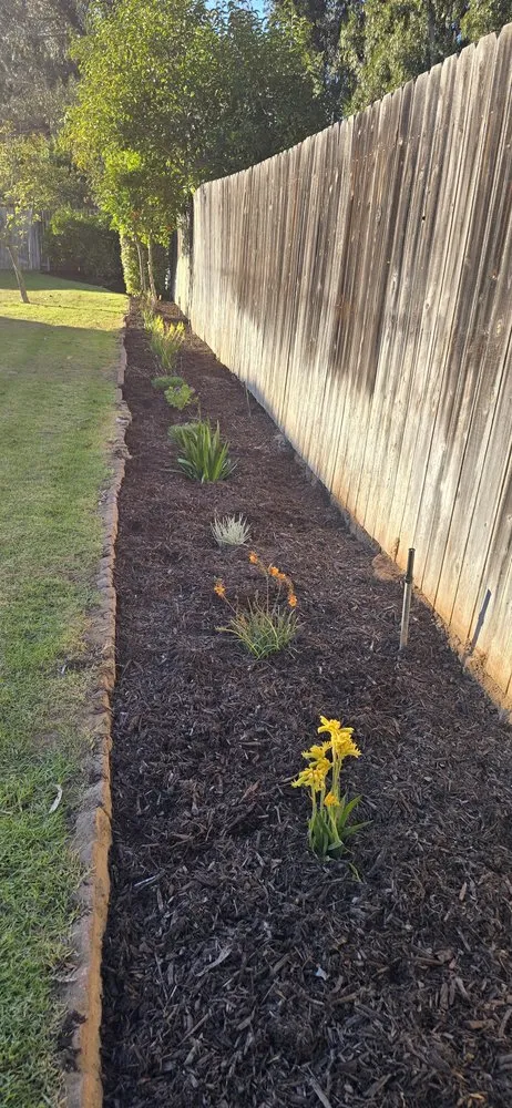 Affordable yard maintenance for beautiful yards across Orcutt, CA - Landscape Solutions 360