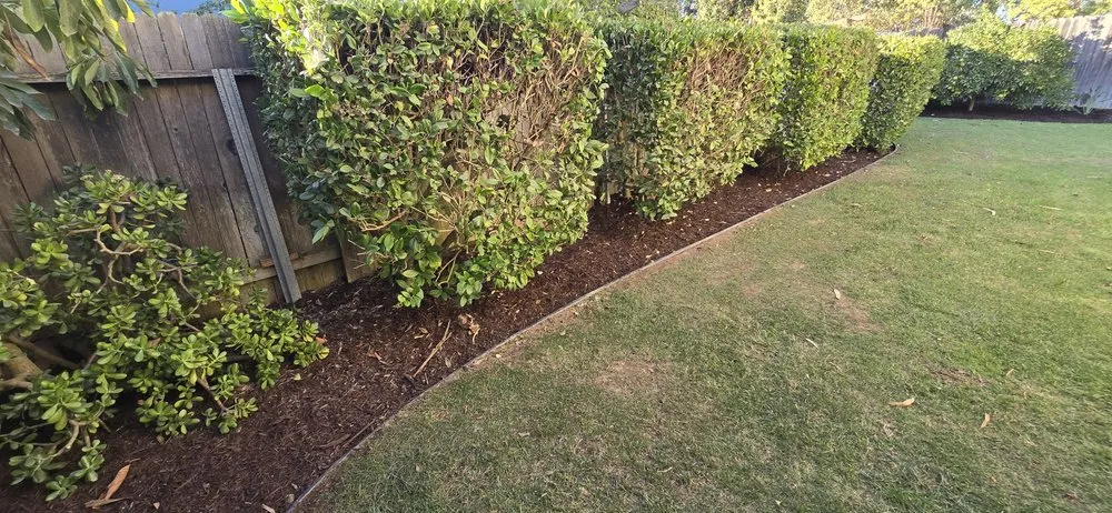Local outdoor landscaping in Orcutt, CA by Landscape Solutions 360