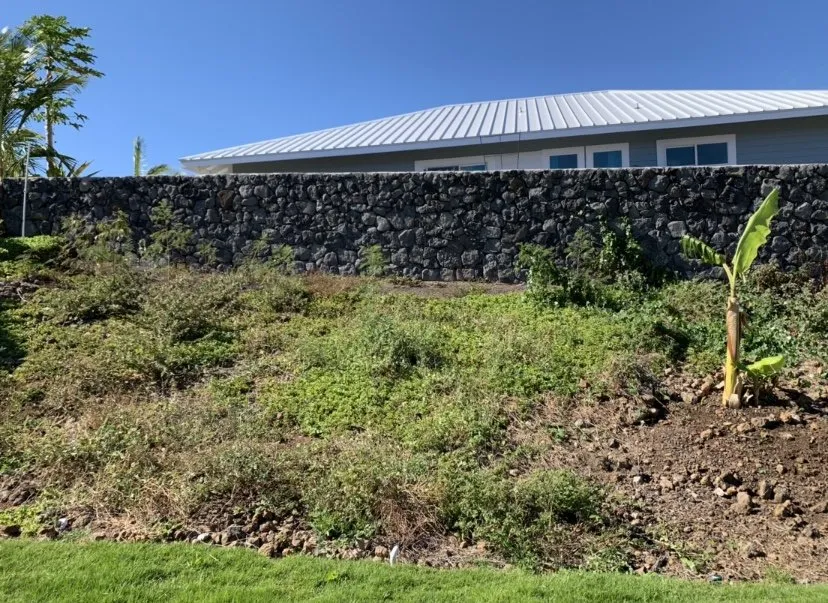 Reliable yard maintenance in Kealakekua, HI by Landscape Solutions 808