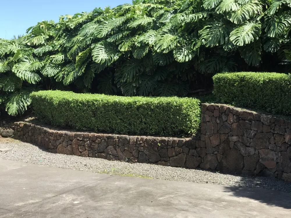 Reliable lawn care service in Kealakekua, HI - Landscape Solutions 808