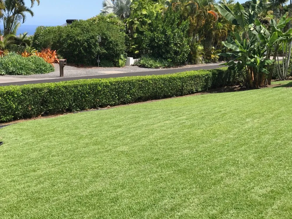 Professional garden landscaping in Kealakekua, HI by Landscape Solutions 808