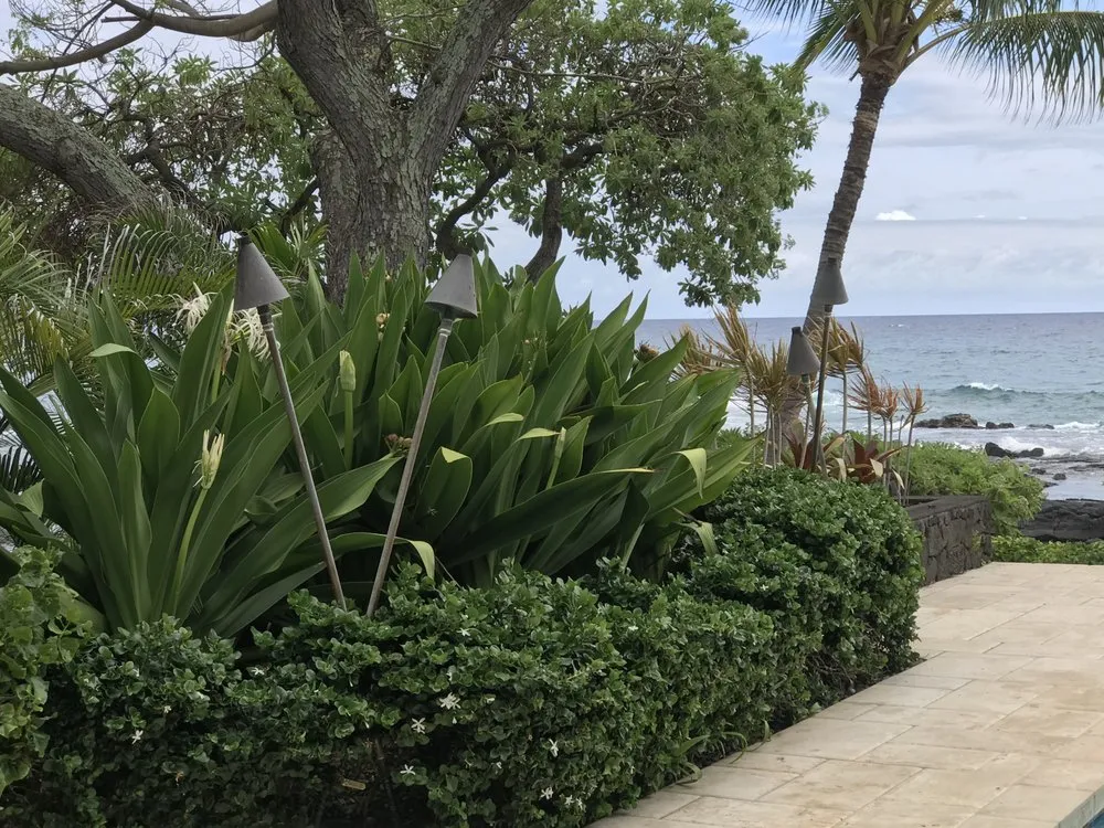 Local lawn care service in Kealakekua, HI - Landscape Solutions 808