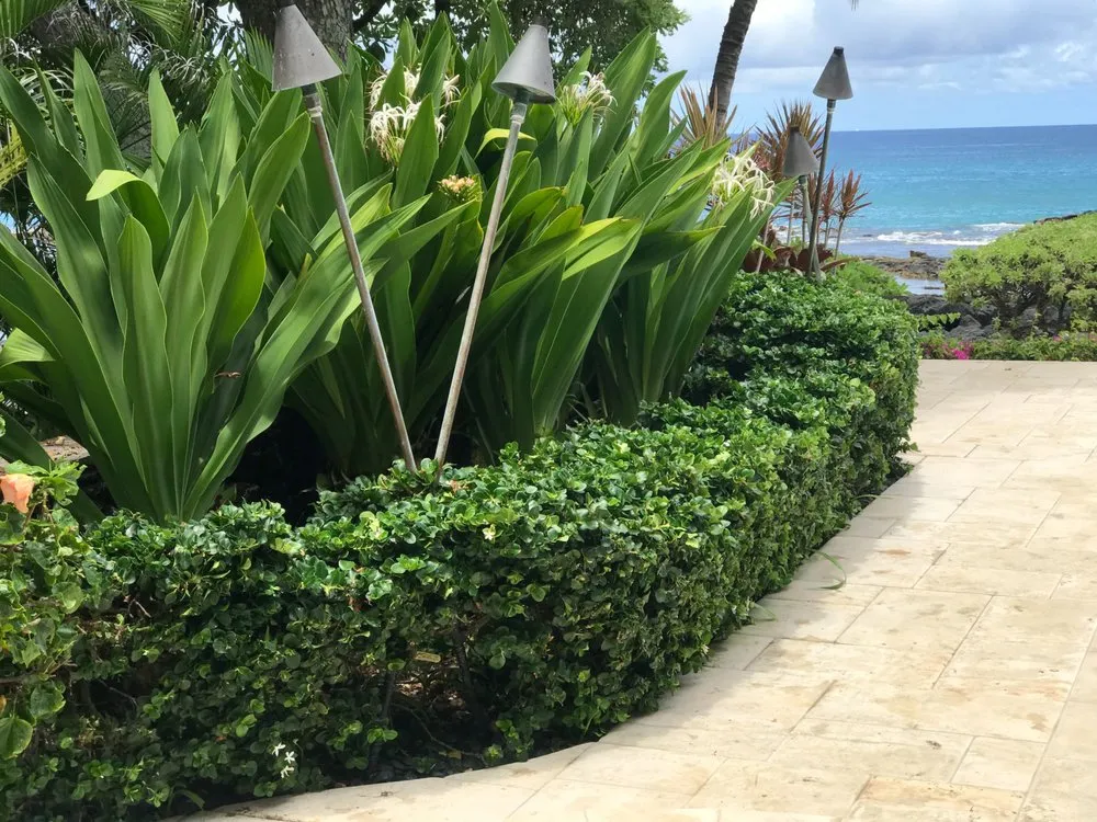 Affordable lawn mowing service in Kealakekua, HI - Landscape Solutions 808