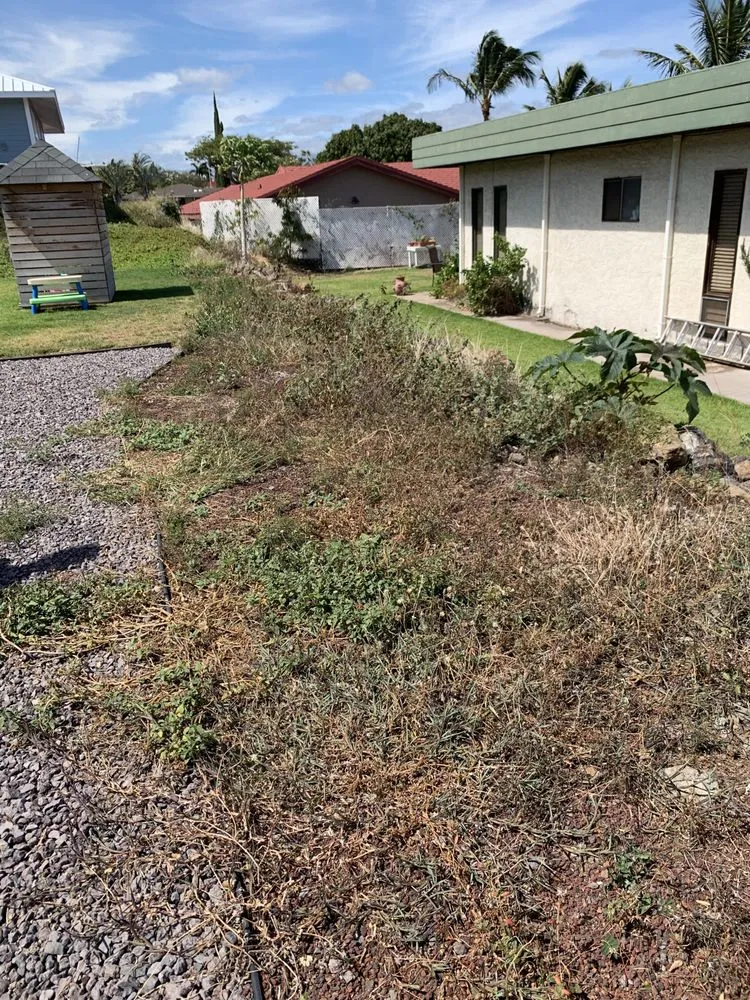 Custom landscape installation in Kealakekua, HI - Landscape Solutions 808