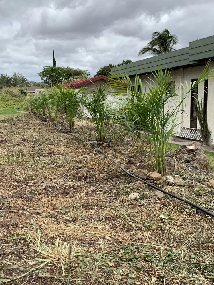 Local landscaping services in Kealakekua, HI by Landscape Solutions 808