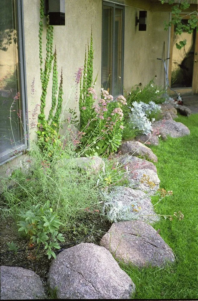 Trusted garden landscaping experts serving Albuquerque, NM - Landscape Solutions