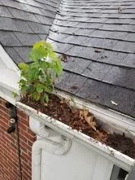 Trusted landscape design in Arab, AL by Landscape Solutions