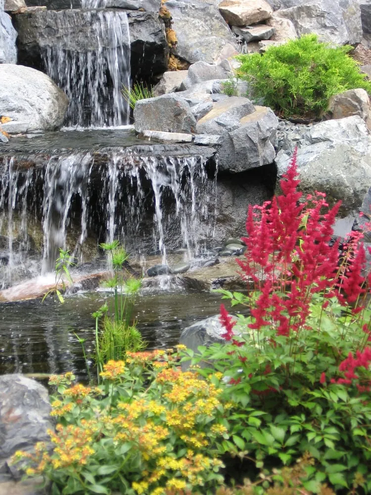 Top-rated landscaping services for residential properties in Wausau, WI by Landscape Solutions by Susan Murphy Jones