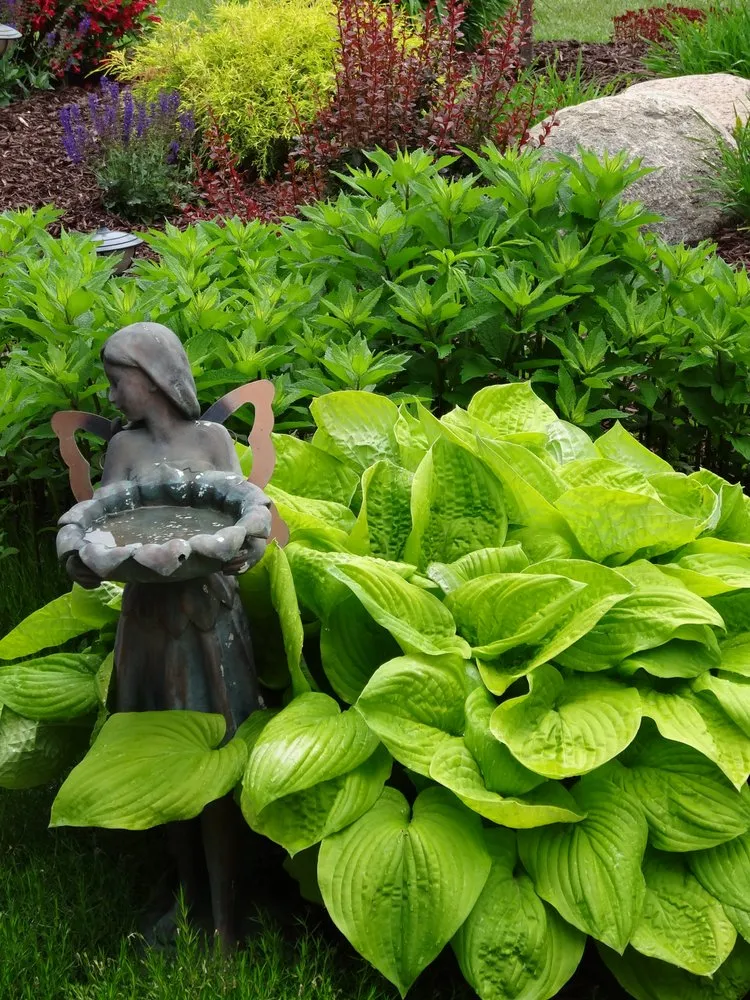 Trusted yard maintenance for homes in Wausau, WI by Landscape Solutions by Susan Murphy Jones