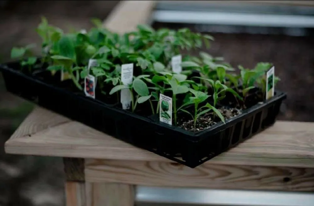 Custom landscaping services in Cary, NC - Landscape Solutions