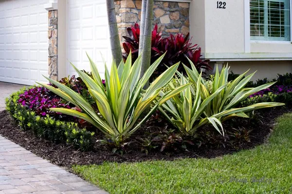 Top-rated outdoor landscaping for outdoor upgrades across Jupiter, FL - Landscape Solutions