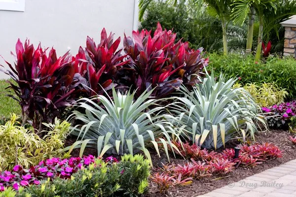 Trusted landscaping services experts serving Jupiter, FL - Landscape Solutions