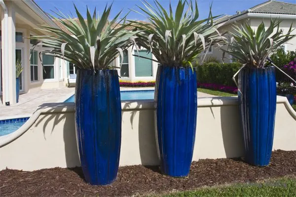 Local garden landscaping in Jupiter, FL by Landscape Solutions