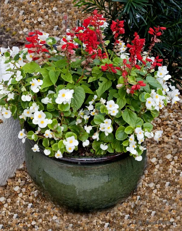 Expert outdoor landscaping experts serving Jupiter, FL - Landscape Solutions