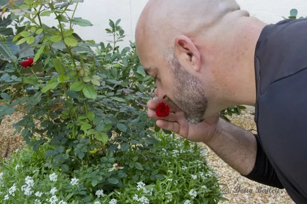 Local outdoor landscaping for outdoor upgrades across Jupiter, FL - Landscape Solutions