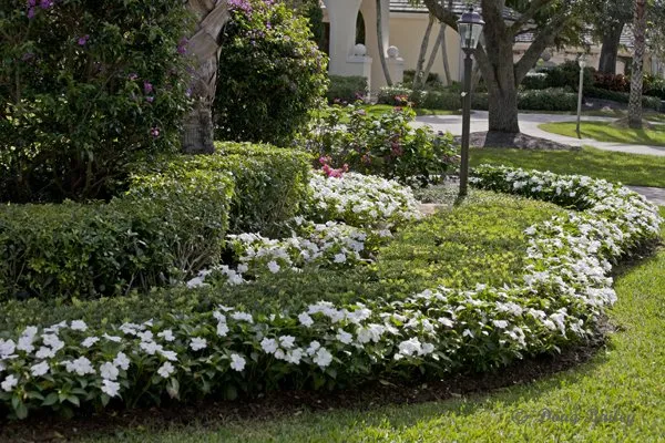 Top-rated lawn mowing service with custom design in Jupiter, FL by Landscape Solutions