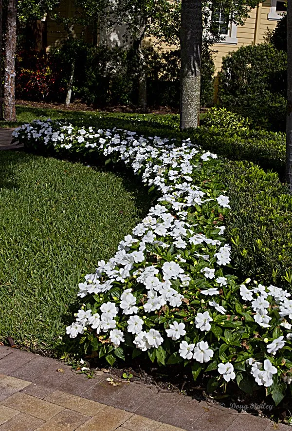 Custom yard maintenance with custom design across Jupiter, FL - Landscape Solutions