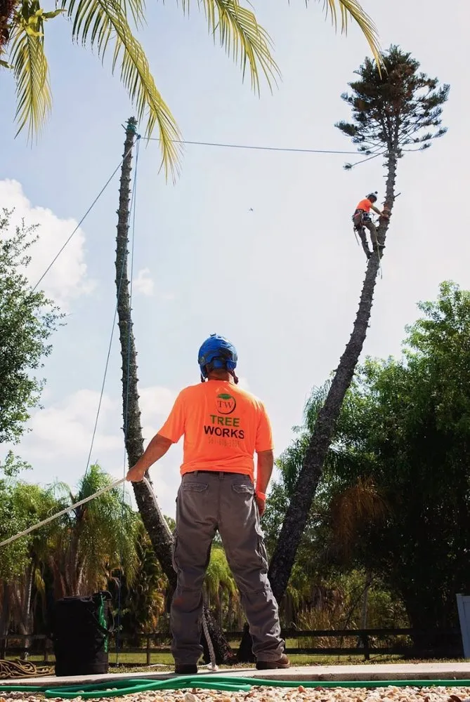 Affordable landscaping services experts serving Jupiter, FL - Landscape Solutions