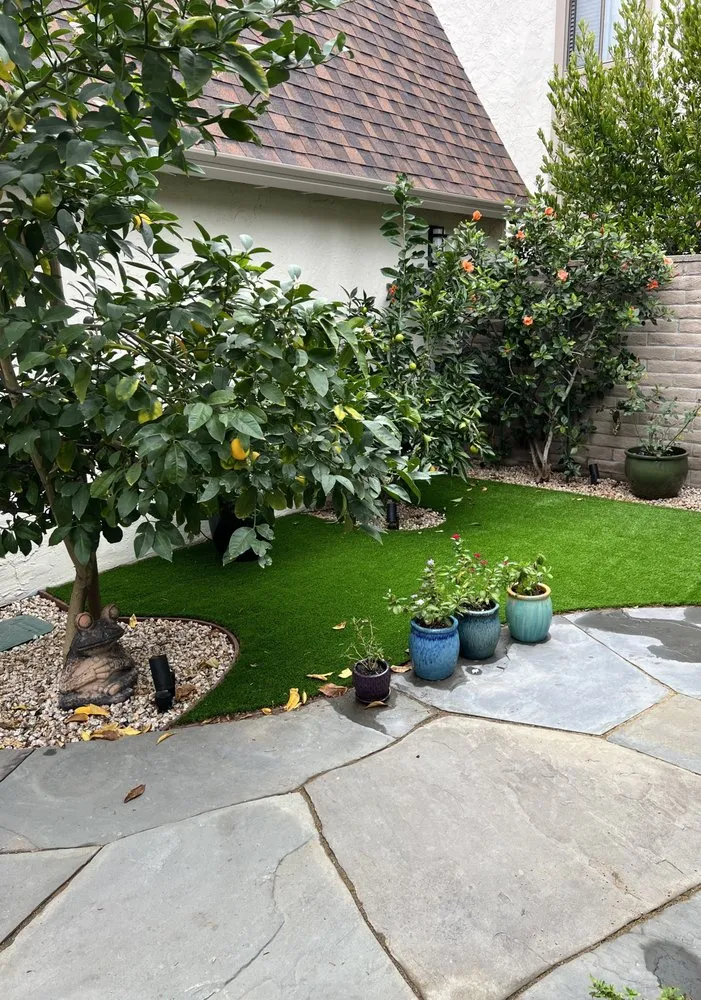 Affordable lawn care service experts serving Los Gatos, CA - Landscape Solutions