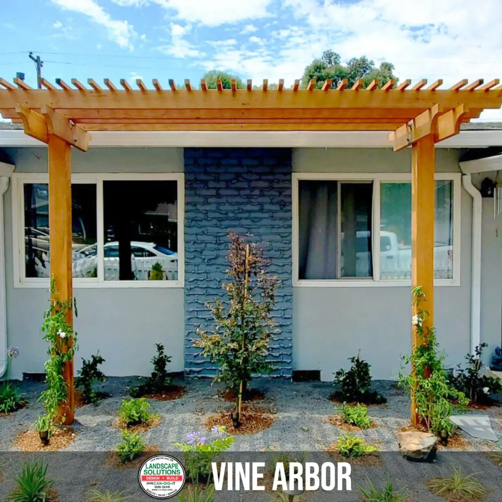 Professional lawn care service in Los Gatos, CA by Landscape Solutions