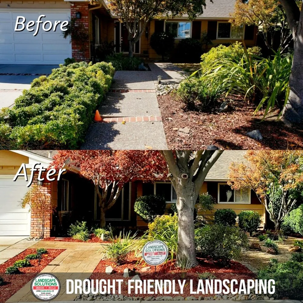 Affordable garden landscaping in Los Gatos, CA - Landscape Solutions