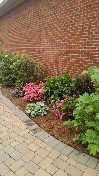 Top-rated garden landscaping experts serving Louisville, KY - Landscape Solutions