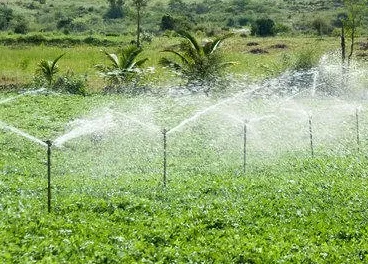 Trusted residential landscaping in Muskegon, MI - Landscape Solutions