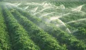 Trusted garden landscaping for residential properties across Muskegon, MI - Landscape Solutions