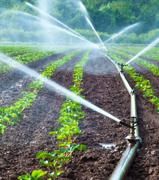 Reliable lawn mowing service for homes across Muskegon, MI - Landscape Solutions