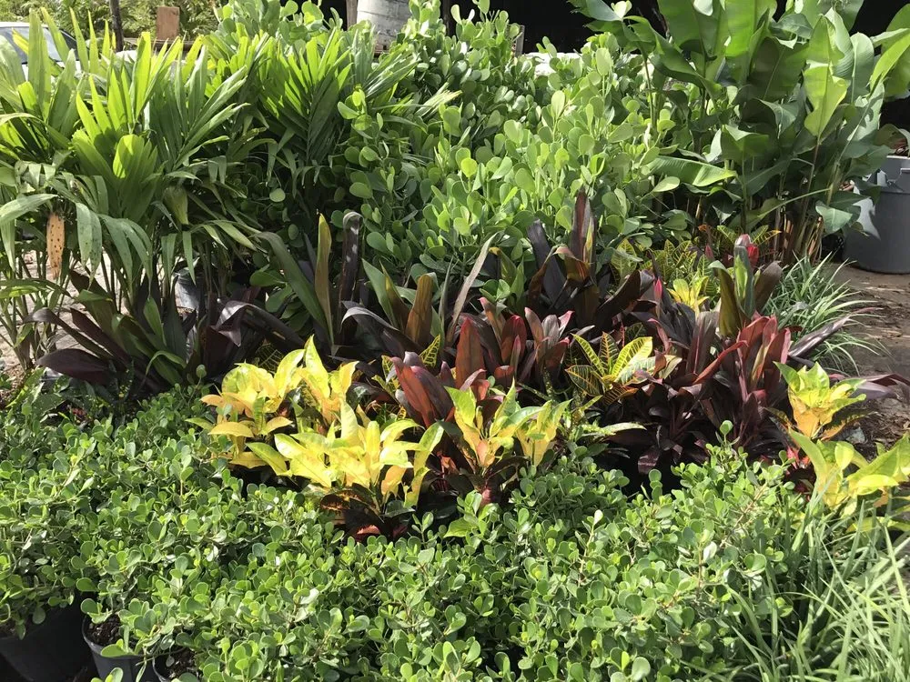 Custom residential landscaping experts serving Oakland Park, FL - Landscape Solutions