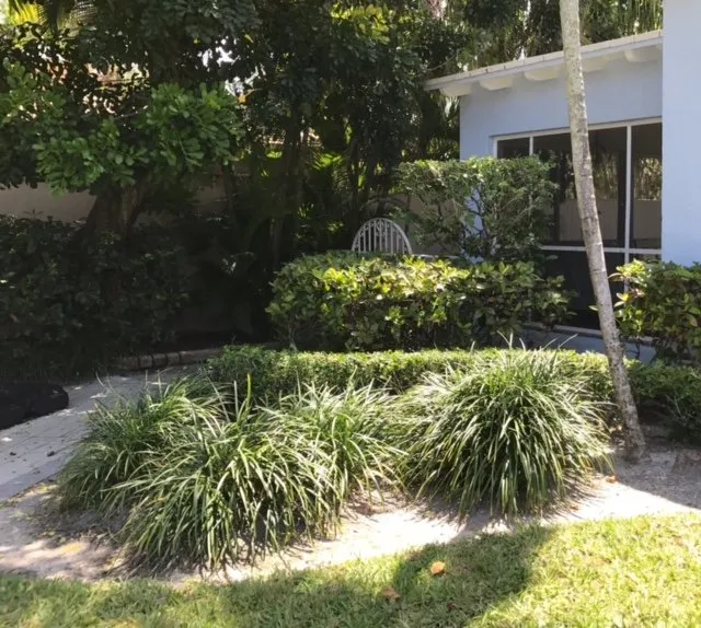 Professional landscape design for residential properties across Oakland Park, FL - Landscape Solutions