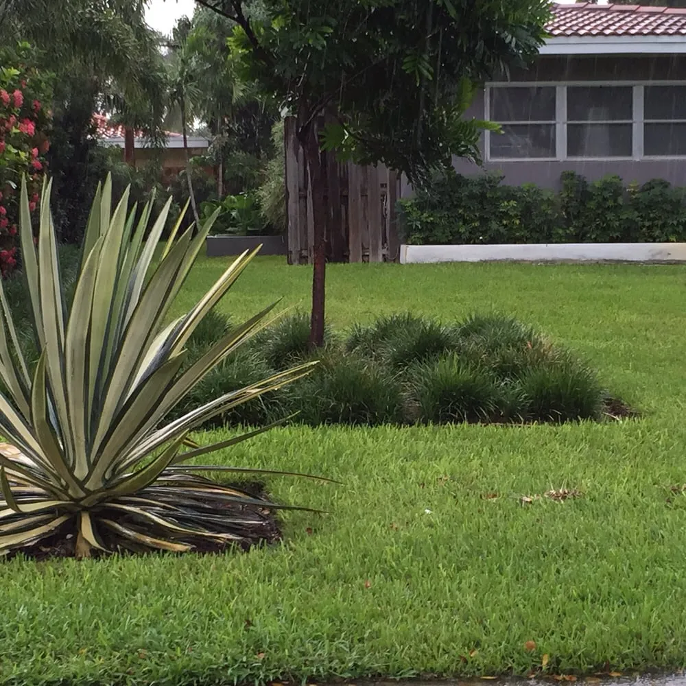 Affordable landscape installation for beautiful yards across Oakland Park, FL - Landscape Solutions