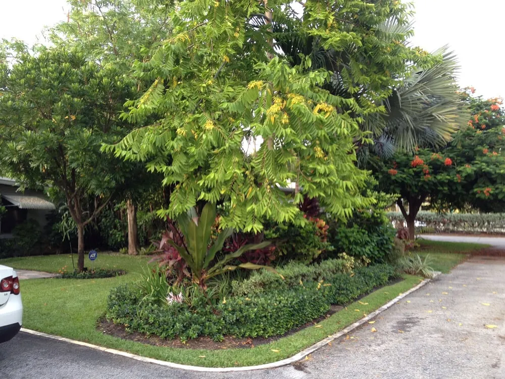 Expert residential landscaping for year-round maintenance in Oakland Park, FL by Landscape Solutions