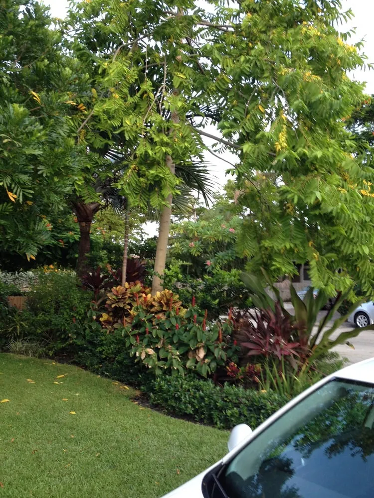 Professional landscaping services for beautiful yards across Oakland Park, FL - Landscape Solutions