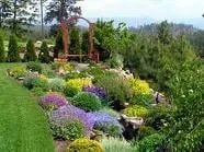 Custom outdoor landscaping for year-round maintenance in Pensacola, FL by Landscape Solutions of Pensacola
