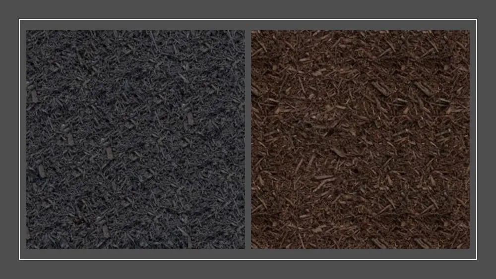 Local residential landscaping in Plantersville, TX by Landscape Solutions of Texas