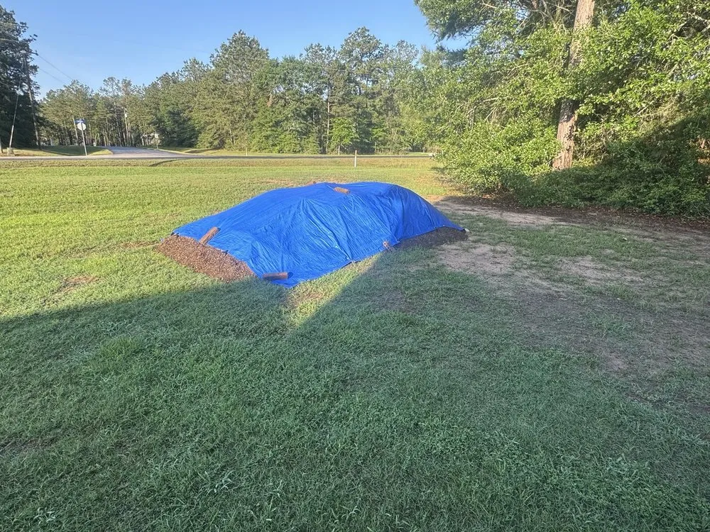 Top-rated lawn care service in Plantersville, TX - Landscape Solutions of Texas