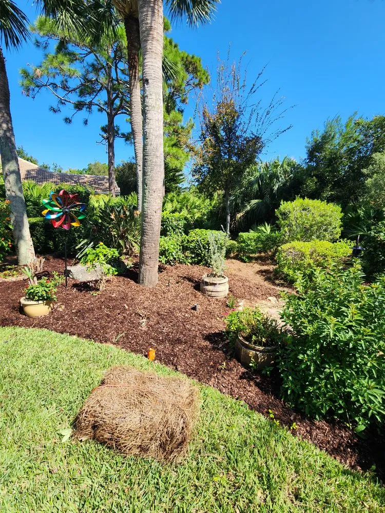 Local landscaping services in Palm Coast, FL by Landscape Solutions