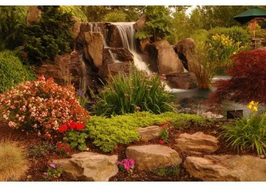 Professional landscaping services experts serving Portland, OR - Landscape Solutions
