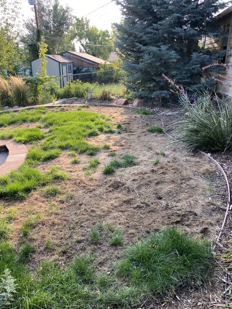 Professional outdoor landscaping for homes across Salt Lake City, UT - Landscape Solutions