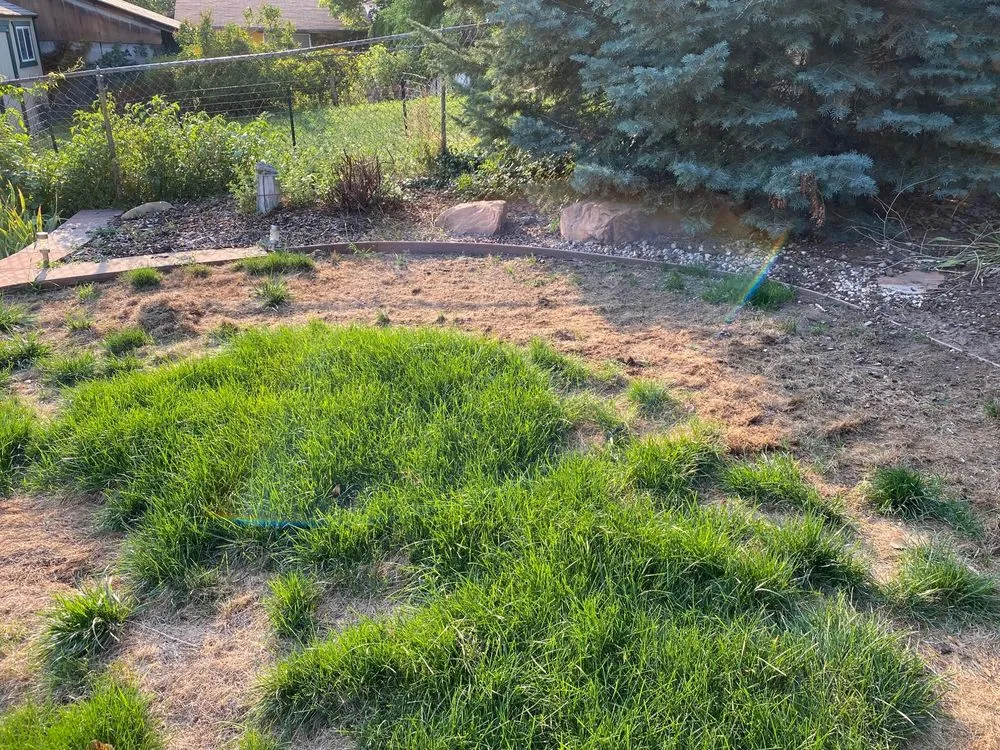 Custom yard maintenance experts serving Salt Lake City, UT - Landscape Solutions