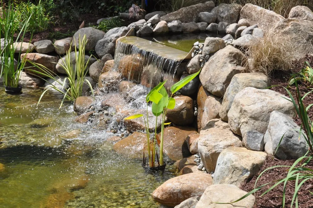 Reliable outdoor landscaping in Union, NJ by Landscape Solutions